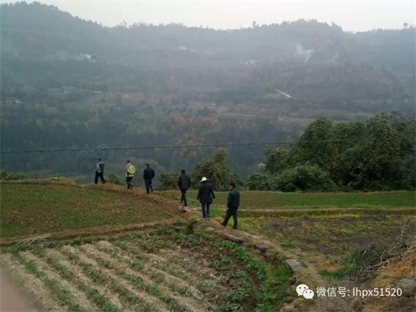 1536567529734568.jpg 00.jpg