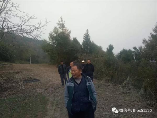 1536568043505963.jpg 11.jpg