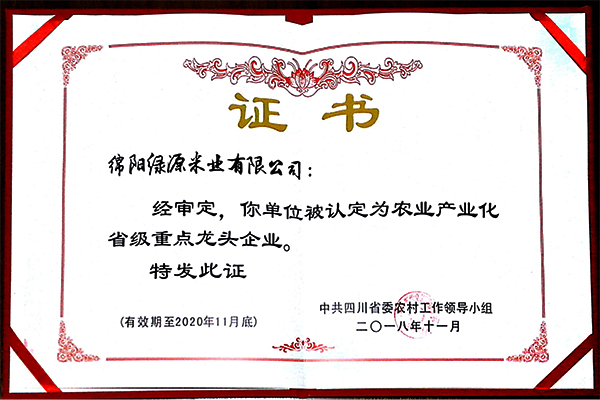 龙头企业证书.jpg