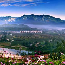 加快推进农业强省建设和乡村全面振兴 以农业大省的责任担当为全国大局多作贡献