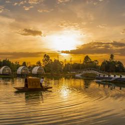 四川明确今年9项“三农”重点工作