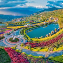 加快推进川种振兴 进一步提升川种高质量发展水平