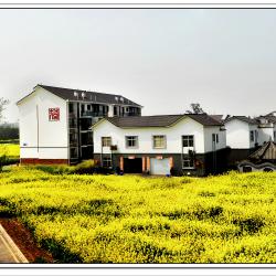 全省“1+1+8”千亿产业建圈强链工作推进会召开