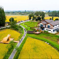 农业农村厅召开“一村六员一主播”农业实用人才队伍建设工作推进会