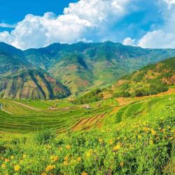 “四川藏香乳猪出口香港”首发仪式在成都举行