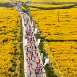 千名跑者共绘乡村振兴画卷