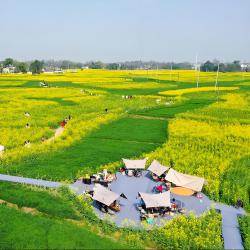 中共四川省委十二届七次全会公报