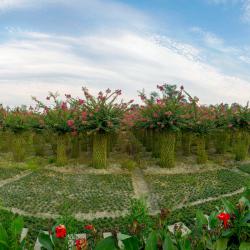 进一步加大力度强化举措  圆满完成过渡期各项目标任务