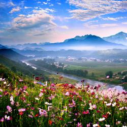 全省全面推进乡村振兴和城乡水务一体化专题研讨班开班