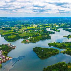 以重大创新平台建设为牵引 加快建设种业强省农业强省