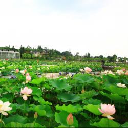 全力打造“锦绣天府·安逸四川”文旅品牌