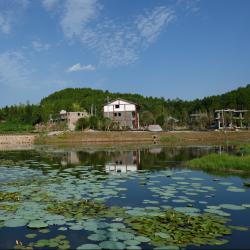 王晓晖强调：以务实作风做好文旅深度融合大文章 更好增进民生福祉助推经济社会高质量发展