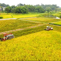 全力以赴稳就业惠民生