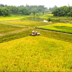 习近平：民营经济发展前景广阔大有可为 民营企业和民营企业家大显身手正当其时