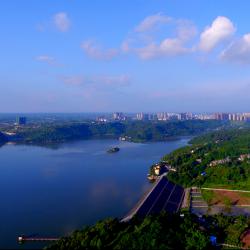 川台农业合作走深走实  台农台企深耕四川助推农业强省建设