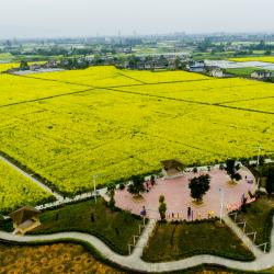 于立军在全省“三农”重点工作现场推进会上强调 把“三农”重点工作做细做小做实