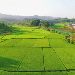 施小琳会见中国农业发展银行党委副书记张小东