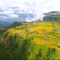 农业农村厅召开贯彻落实全省39个欠发达县域 托底性帮扶工作大小凉山彝区片区会议精神专题会议