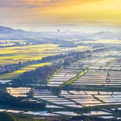 2025年全省农业生态资源环境保护工作培训会在成都召开