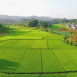 李春华主持召开乡村建设行动工作座谈会