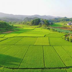 农业农村厅开展全省国省级现代农业园区补短提升视频培训