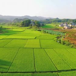 水产千亿产业建圈强链专家科技服务座谈会在成都召开