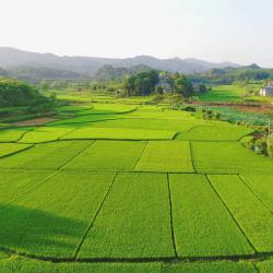 全省家庭农场经营者能力提升培训班在江油市成功举办