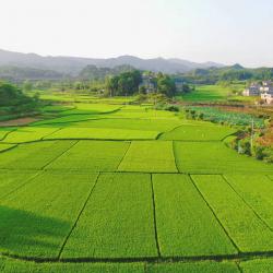 让农村资产资源成为强村富民的“聚宝盆”