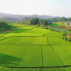 300余家企业参展2025中国（成都）畜牧业博览会 以“智”赋能四川畜牧业绿色发展