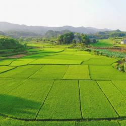 “万企兴万村”行动推进会在京召开