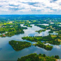 密集组织招聘  加力稳岗扩岗