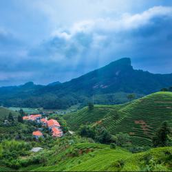 七部门加强政策扶持促进创业带动就业