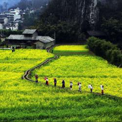 我国推出新一轮举措加力扩岗稳就业