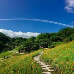 招聘会开到商圈里  各地多措并举稳岗扩岗