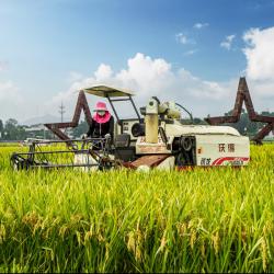 新消费催生新职业   年轻人解锁这些新赛道