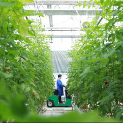 理解“四稳”之首加力稳就业