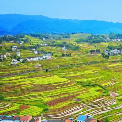 稳就业，抓好存量、增量、质量