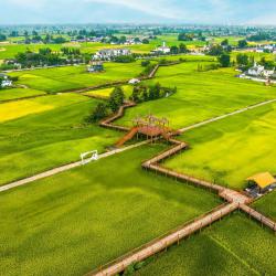 理县聚焦“四力” 筑牢脱贫劳动力稳岗就业“幸福堤坝”