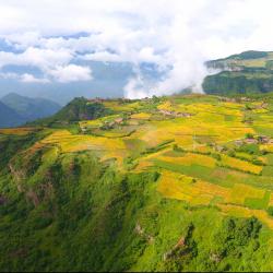 全省39个欠发达县域农业可持续高质量发展培训班在成都举办