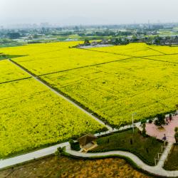农业农村部召开全国农田建设现场会
