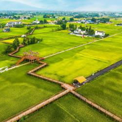 四川为生猪饲料节粮增效制定技术要点  预计每年可节约饲料用粮约220万吨