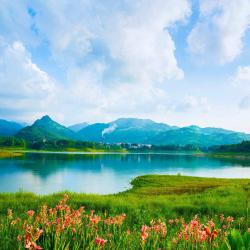 2025乡村振兴（长沙）论坛举行