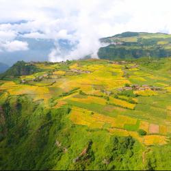 慎终如始抓好巩固拓展脱贫攻坚成果各项工作　牢牢守住不发生规模性返贫致贫底线